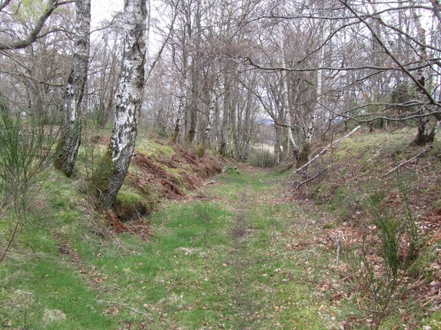 MHG3401_03.jpg