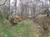 MHG3401_03.jpg