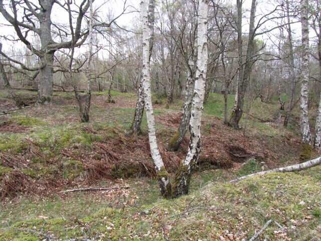 MHG3401_04.jpg