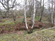 MHG3401_04.jpg