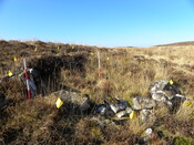 MHG62651_01.JPG