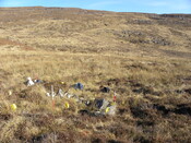 MHG62651_02.JPG