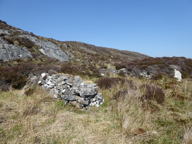 MHG62660_01.JPG