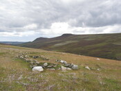 MHG62280.01.JPG