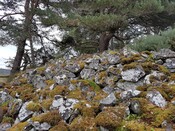 MHG3395_02Castle Spynie, north face, looking SE sm.jpg
