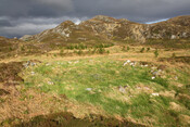 MHG7523_08.jpg