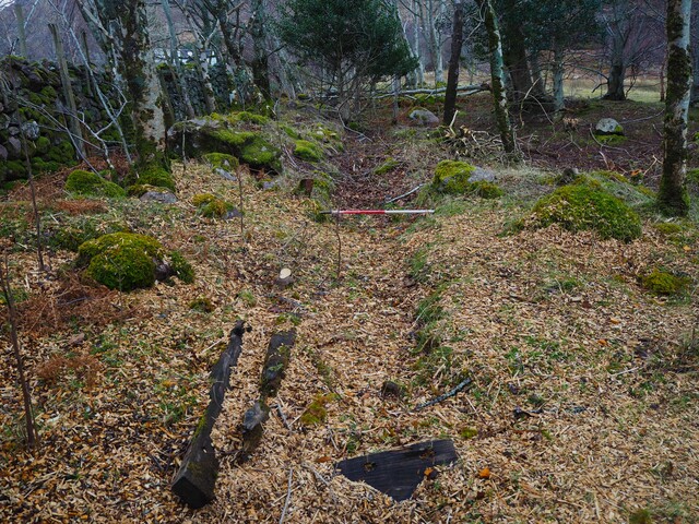 EHG6031_05.JPG