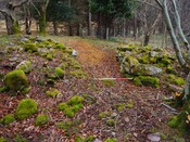 EHG6031_07.JPG