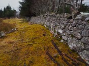 EHG6031_08.JPG