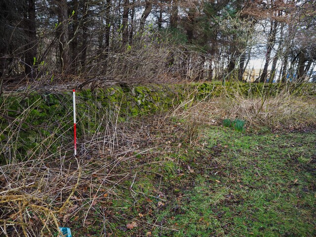 EHG6031_21.JPG