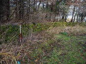 EHG6031_21.JPG