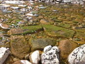 MHG7544_02.JPG