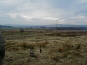 NC50NE0136HAW1.JPG