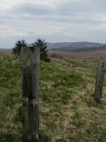 NC50NE0141HAW1.JPG