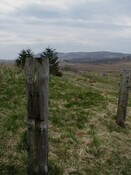 NC50NE0141HAW1.JPG