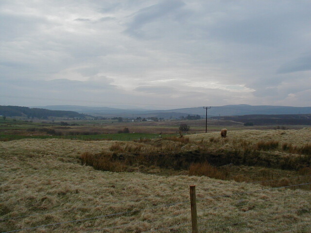NC50NE0158HAW3.JPG