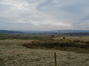NC50NE0158HAW3.JPG