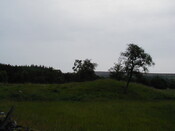NC50SE0024HAW1.JPG
