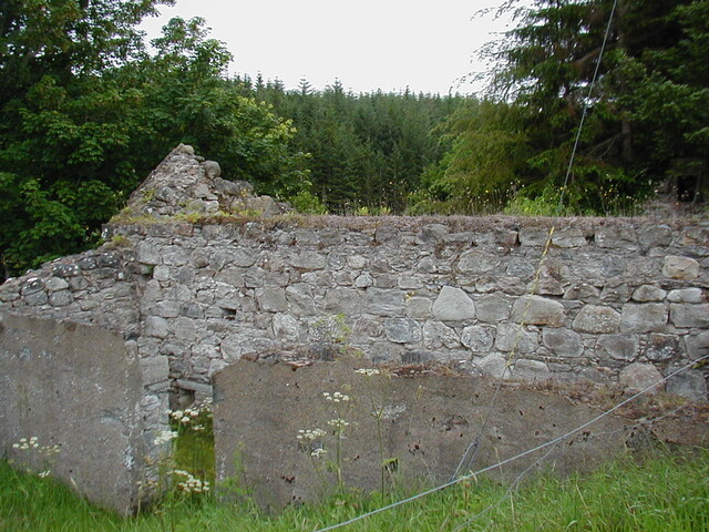 NC50SE0102HAW1.JPG