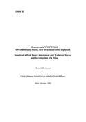 991 - Dyke  Balnain.pdf