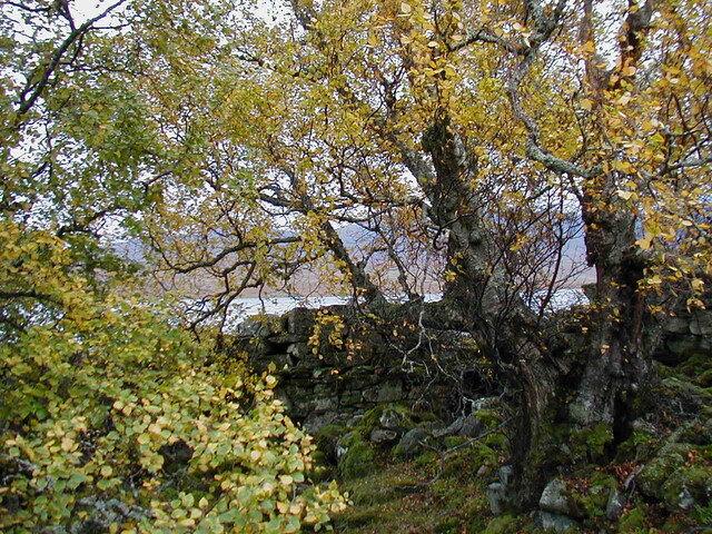 NC63NW0002HAW2.JPG