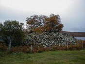 NC63NW0002HAW3.JPG