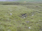 NC65NE0007 from N Borgie.jpg