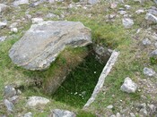 NC66SE0003 - CY1.JPG