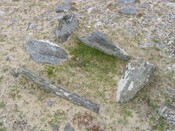 NC66SE0003 - CY2.JPG