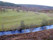 NC70NE0024b.jpg