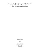1135  RhivesPDF.pdf