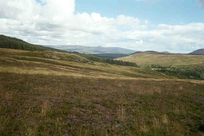 NC70NW0003h.jpg